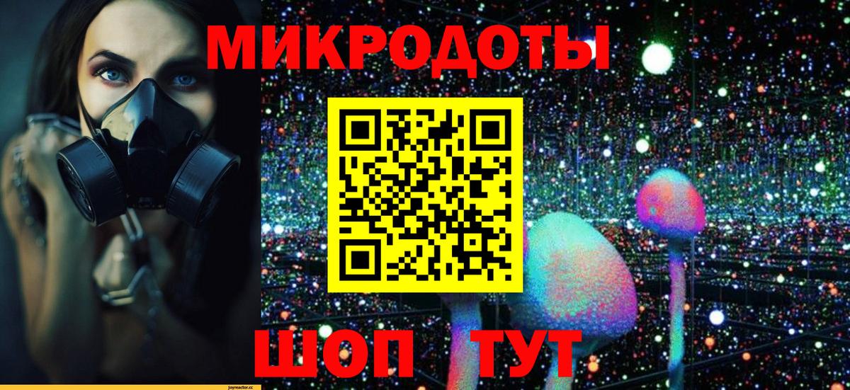 Псилоцибиновые грибы Psilocybine cubensis Солнечногорск