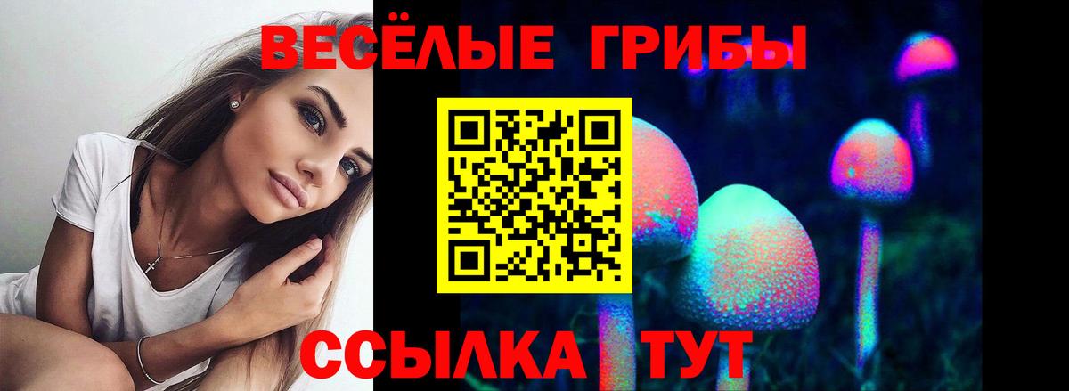 Галлюциногенные грибы Psilocybe  Псилоцибиновые грибы GOLDEN TEACHER  как найти   Солнечногорск  Вход с VPN 